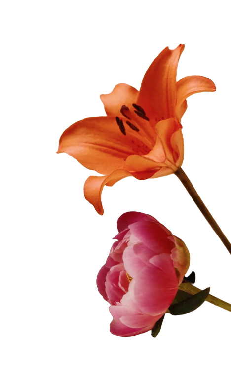 Decoration with pink and orange flower.