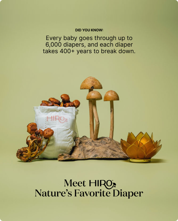 HIRO Diapers Monthly Diaper and Wipes Bundle