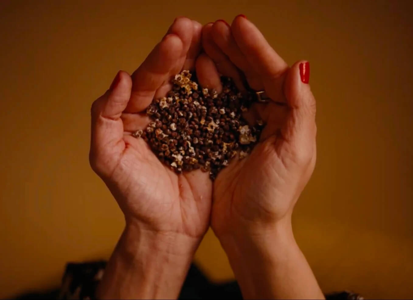 natural and sustainable diapers