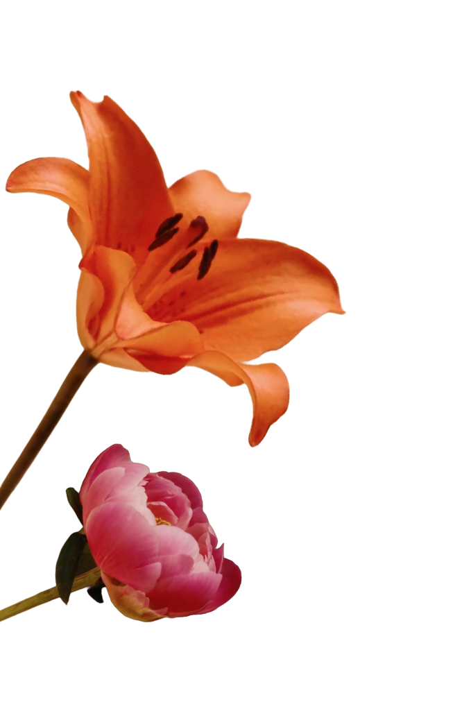 Decoration with pink and orange flower.