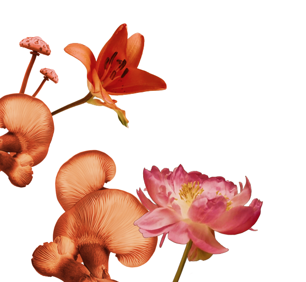 flower popup left
