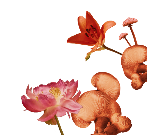 flower popup right reverse