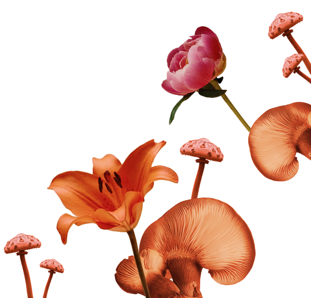 flower popup right